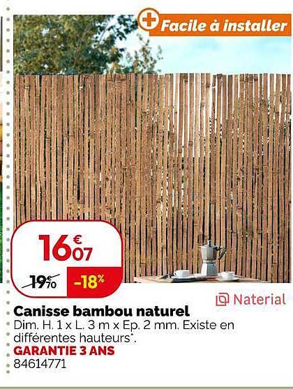 Canisse bambou naturel