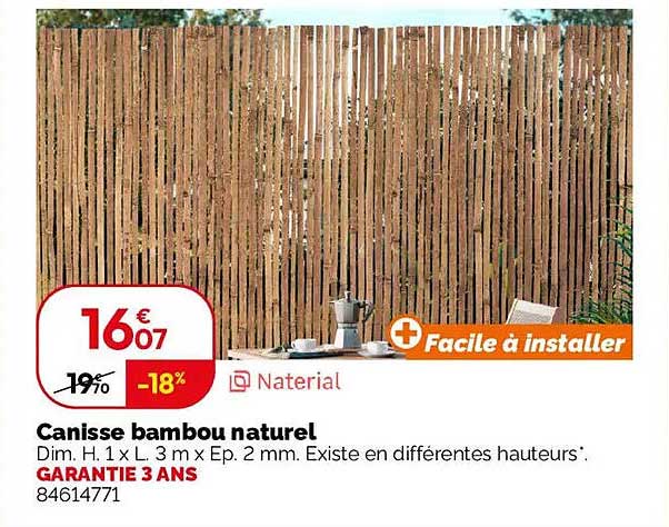 Canisse bambou naturel
