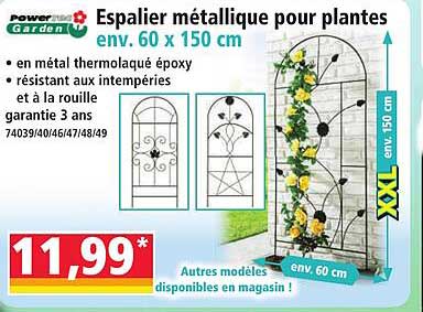 Espalier métallique pour plantes env. 60 x 150 cm