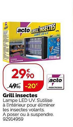 Grill insectes