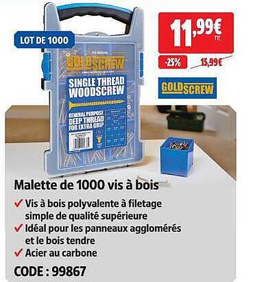 Malette de 1000 vis à bois