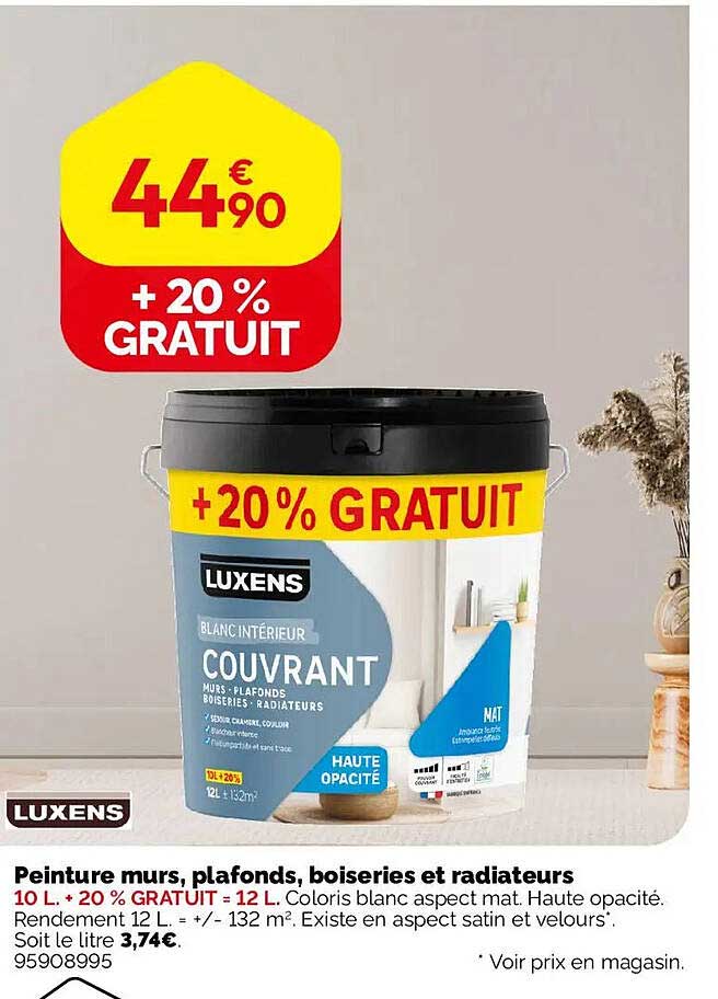 Peinture murs, plafonds, boiseries et radiateurs