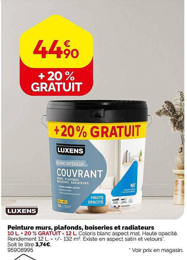 Peinture murs, plafonds, boiseries et radiateurs