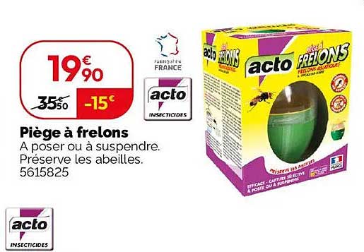 Piège à frelons