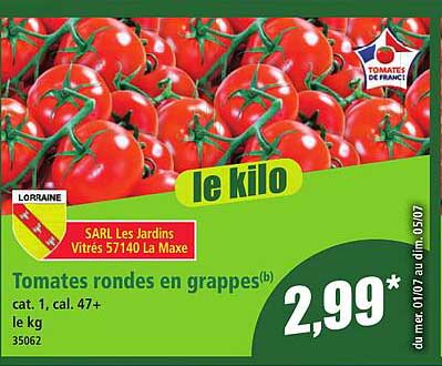 Tomates rondes en grappes