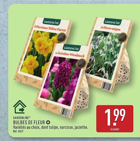 BULBES DE FLEUR
