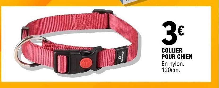 COLLIER POUR CHIEN