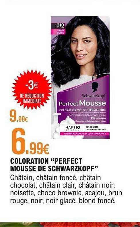 COLORATION “PERFECT MOUSSE DE SCHWARZKOPF”