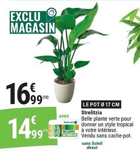 EXCLU MAGASIN