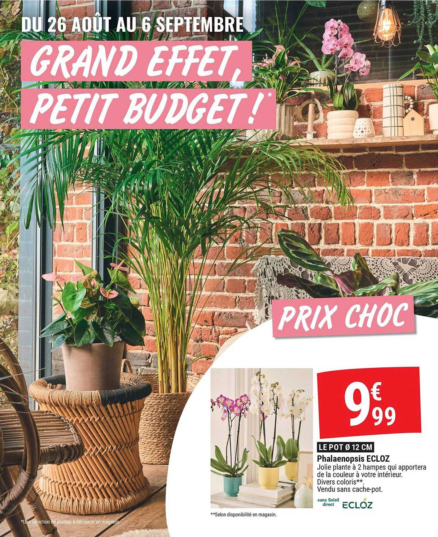 GRAND EFFET, PETIT BUDGET !