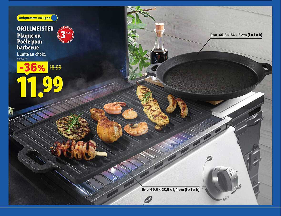 GRILLMEISTER Plaque ou Poêle pour barbecue