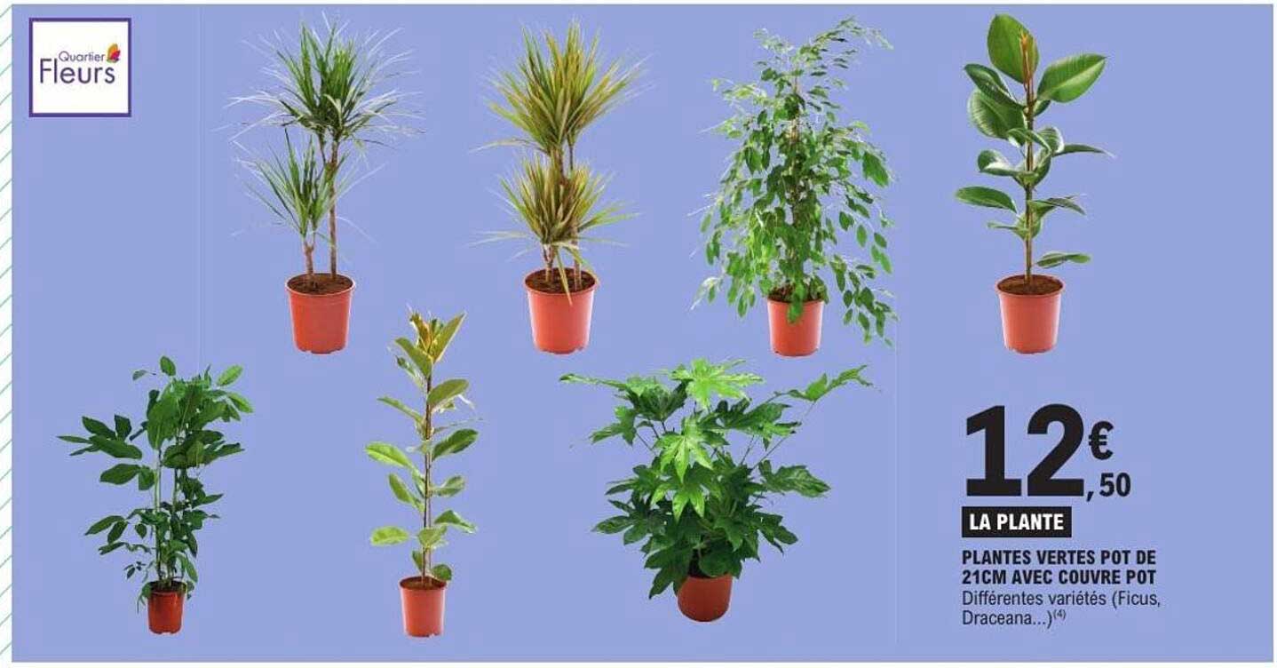 LA PLANTE