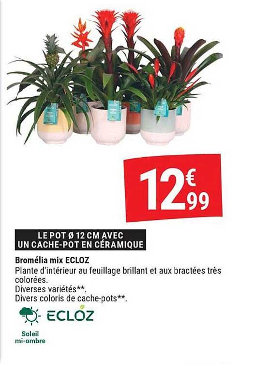 LE POT Ø 12 CM AVEC UN CACHE-POT EN CÉRAMIQUE
