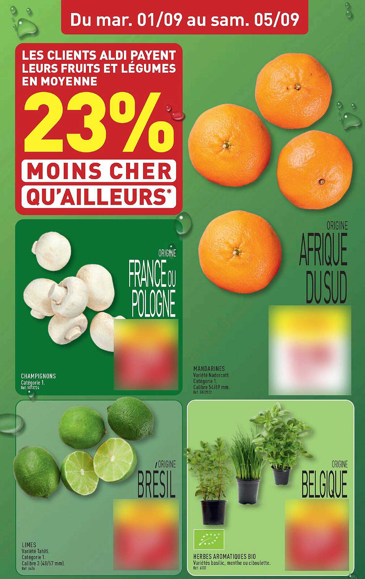 LES CLIENTS ALDI PAYENT LEURS FRUITS ET LÉGUMES EN MOYENNE 23% MOINS CHER QU’AILLEURS*