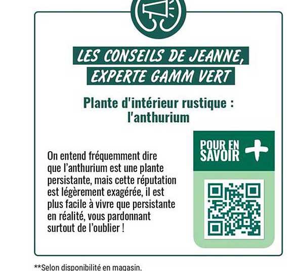 LES CONSEILS DE JEANNE, EXPERTE GAMM VERT