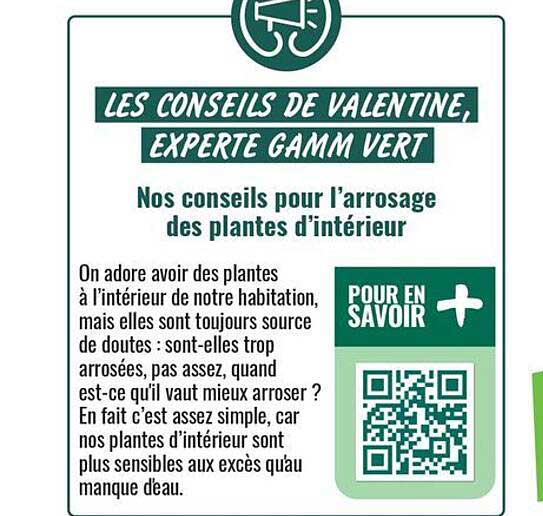 LES CONSEILS DE VALENTINE, EXPERTE GAMM VERT