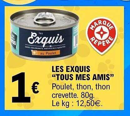 LES EXQUIS "TOUS MES AMIS"