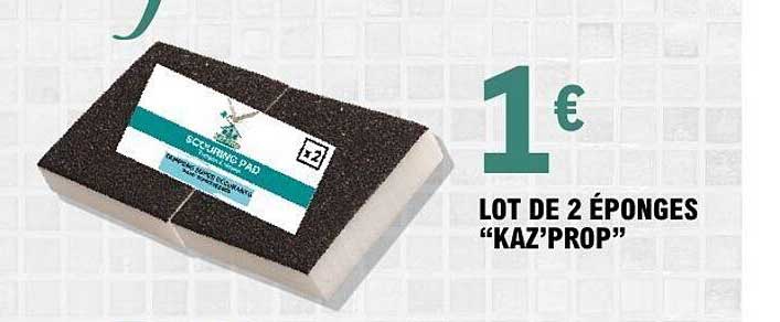 LOT DE 2 ÉPONGES "KAZ’PROP"