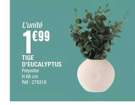 L’unité 1€99 TIGE D’EUCALYPTUS