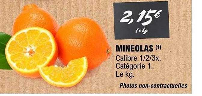 MINEOLAS (1)