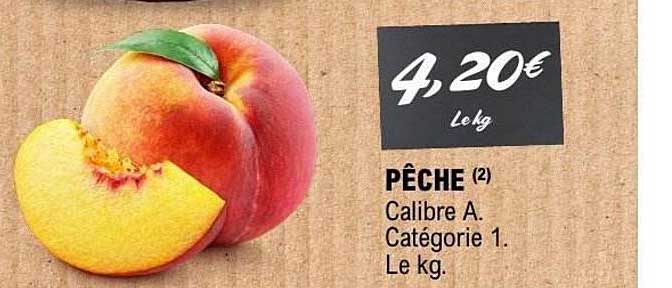 PÊCHE (2)