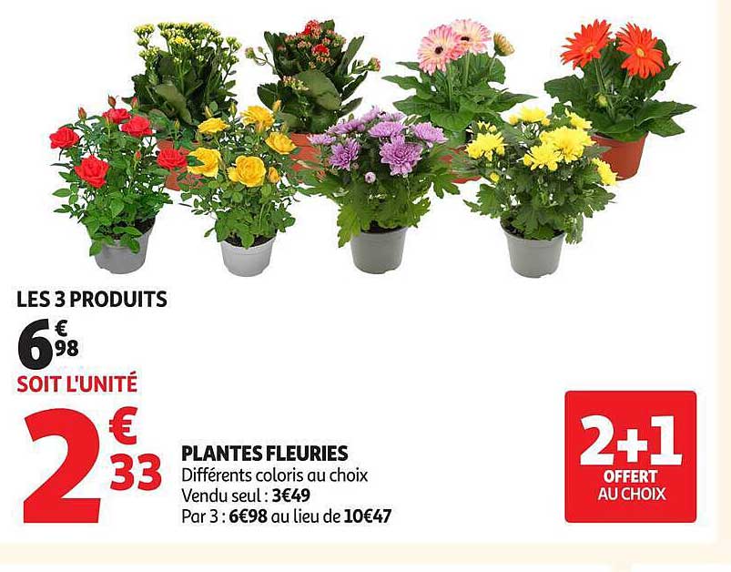 PLANTES FLEURIES