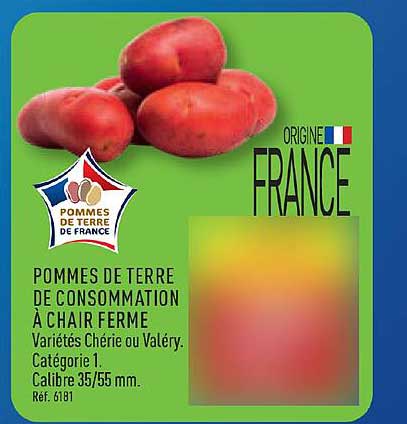 POMMES DE TERRE DE CONSOMMATION À CHAIR FERME
