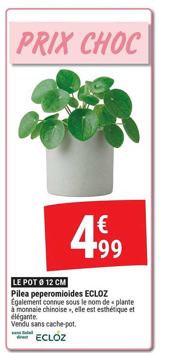 PRIX CHOC