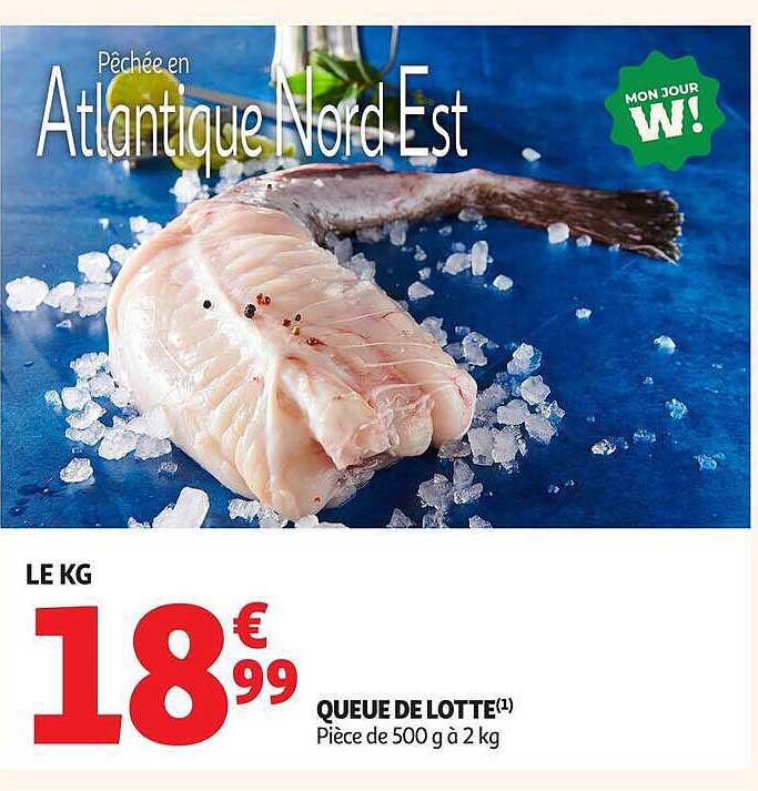 QUEUE DE LOTTE(1)