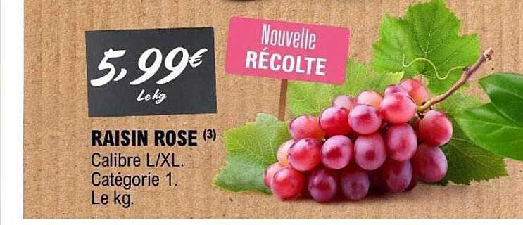 RAISIN ROSE (3)
