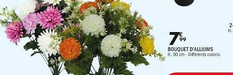 BOUQUET D'ALLIUMS