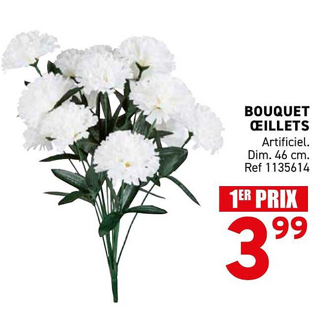 BOUQUET ŒILLETS