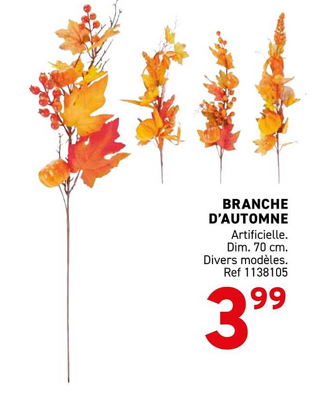 BRANCHE D'AUTOMNE