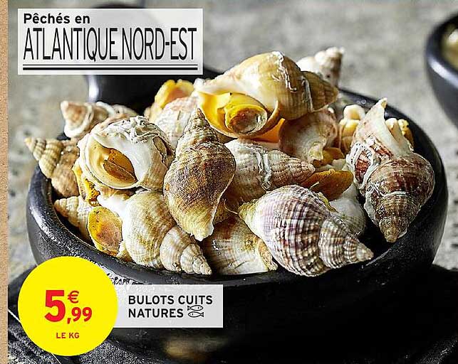 BULOTS CUITS NATURES