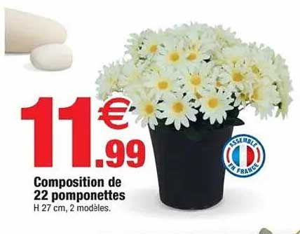 Composition de 22 pomponettes