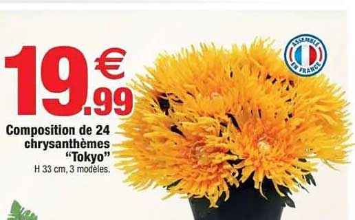 Composition de 24 chrysanthèmes "Tokyo"