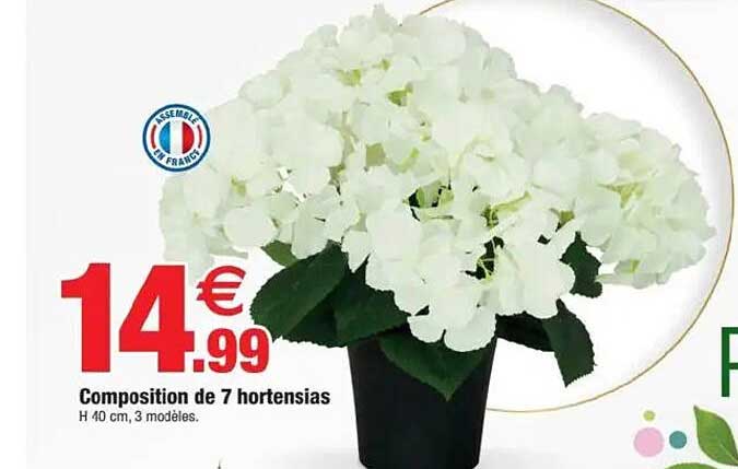 Composition de 7 hortensias