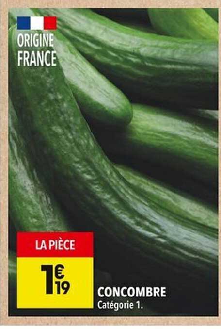 CONCOMBRE