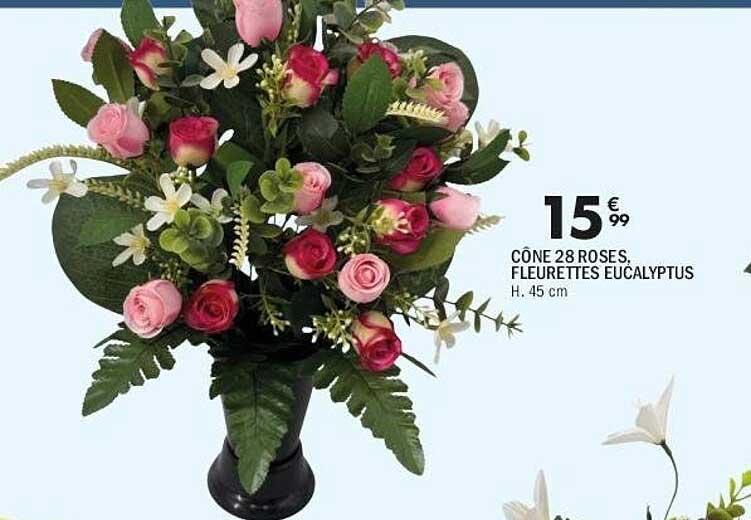 CÔNE 28 ROSES, FLEURETTES EUCALYPTUS