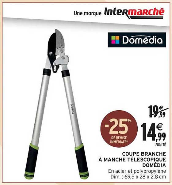 COUPE BRANCHE À MANCHE TÉLESCOPIQUE DOMÉDIA