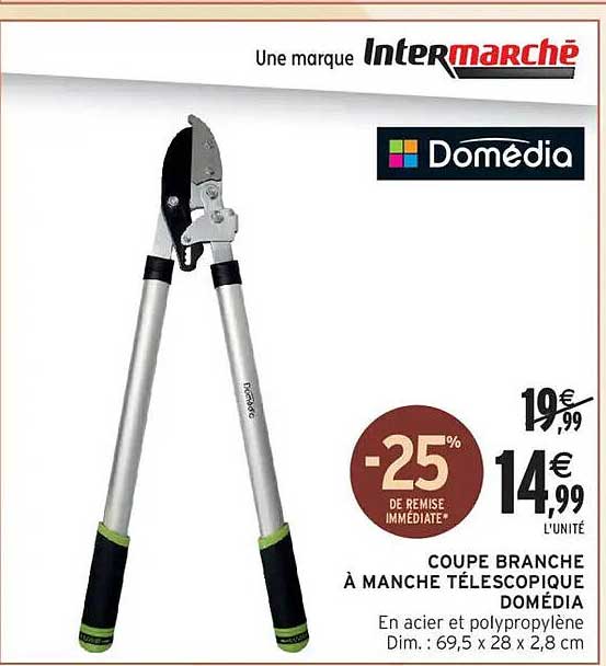 COUPE BRANCHE À MANCHE TÉLESCOPIQUE DOMÉDIA