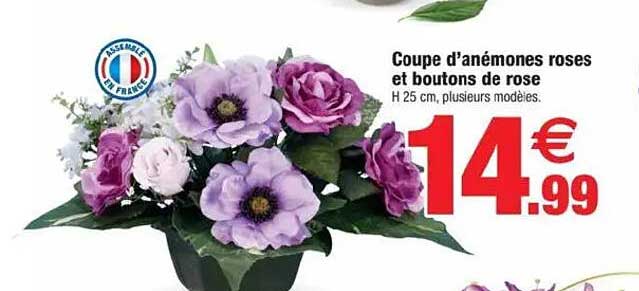 Coupe d’anémones roses et boutons de rose