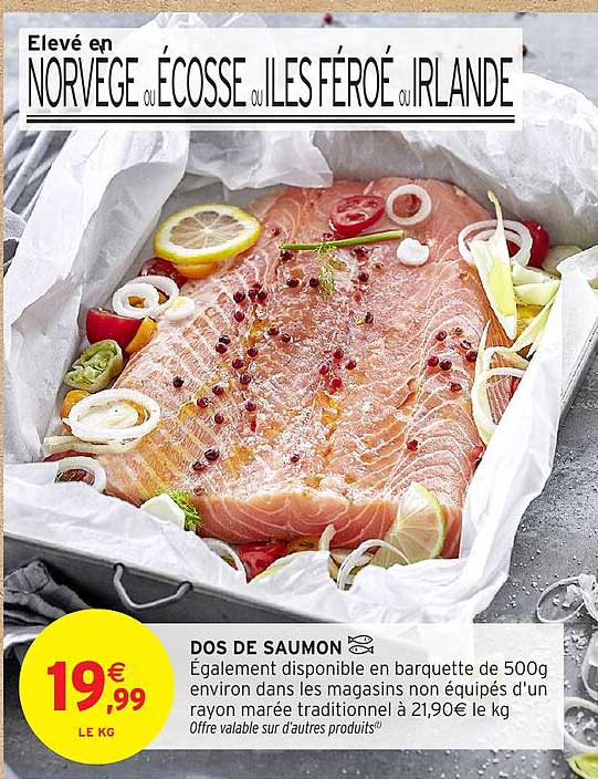 DOS DE SAUMON