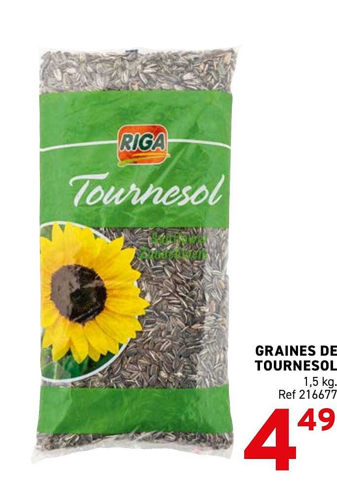 GRAINES DE TOURNESOL