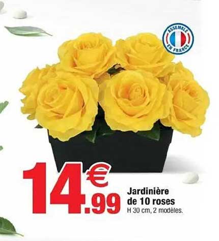 Jardinière de 10 roses