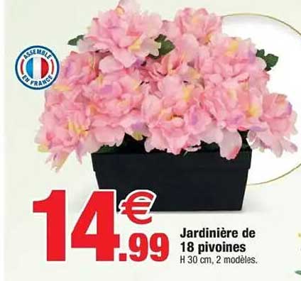 Jardinière de 18 pivoines