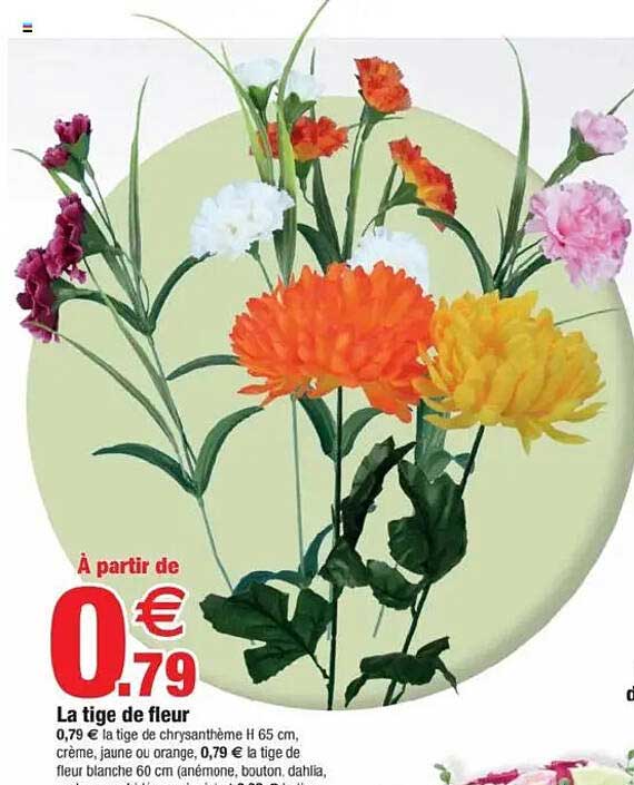 La tige de fleur