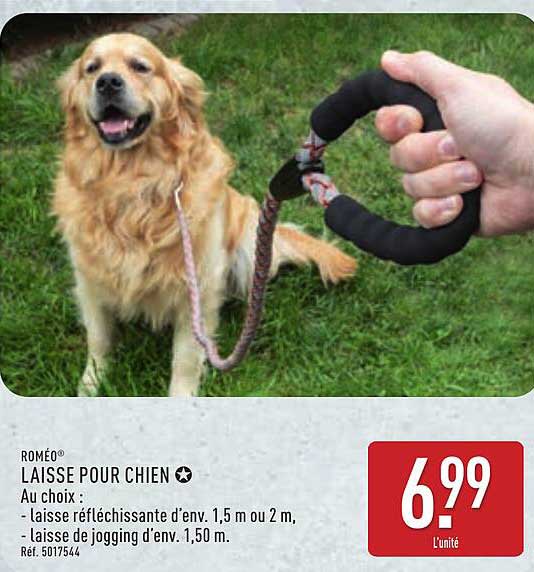 LAISSE POUR CHIEN