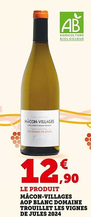 MÂCON-VILLAGES AOP BLANC DOMAINE TROUILLET LES VIGNES DE JULES 2024