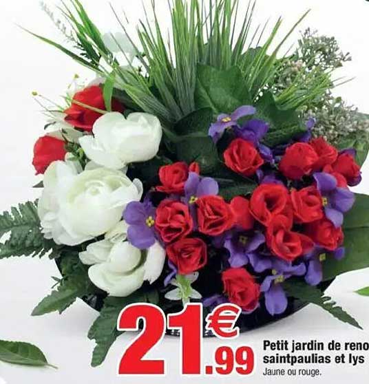 Petit jardin de renoncules, saintpaulias et lys